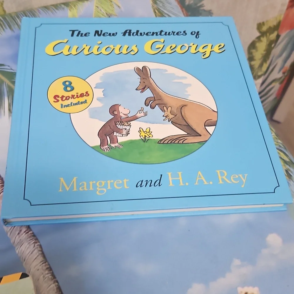 Books School Bundle Childrens Roadwork CURIOUS GEORGE in Good Shape